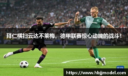 db视讯官网